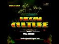 Reggae rock riddim mix vdj anseh feat busy signallutan fyahromain virgo christopher martin