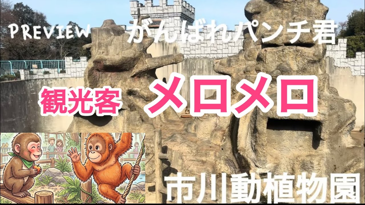 頑張れパンチ君🐒友達できた！！市川動植物園