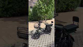 ￼LENAK TESGO  электровелосипед для курьер или же доставки тыща 1200 с двумя аккумуляторами ￼