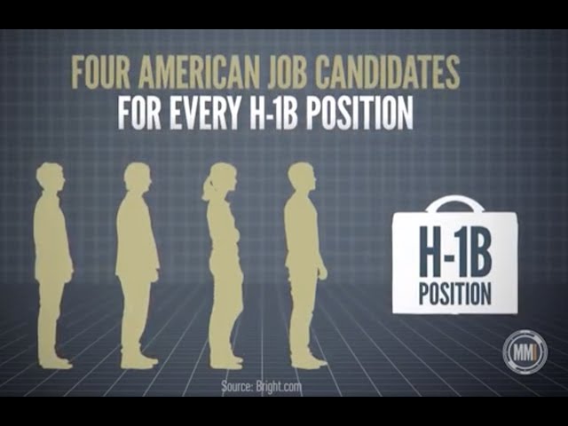 Michelle Malkin Investigates: H-1B Hell