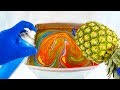 Pineapple Tropical Fruit - Hydro Dipping