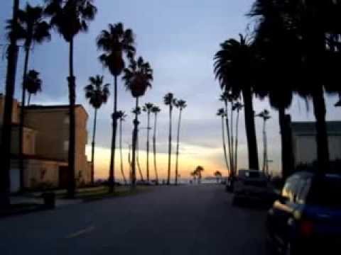 Palm Trees At Sunset Palm Trees At Sunset