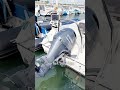 🚤 Pierre vous fait découvrir 2 bateaux disponibles à Lorient avec @prestaboat5093