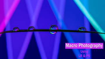 How to do Macro Photography | Focus Stacking with Lightroom and Photoshop