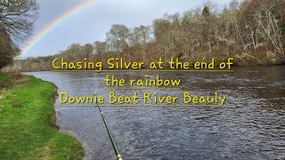 Chasing Silver at the end of the rainbow Downie Beat River Beauly.