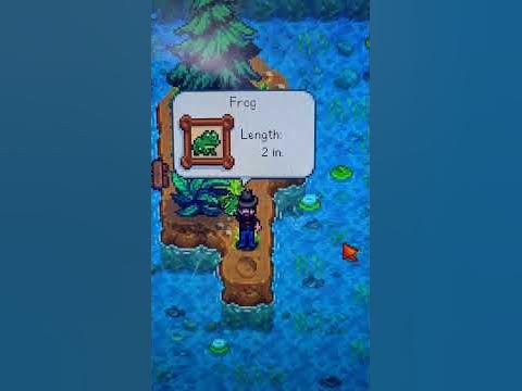 Stardew Valley Expanded. Frog Fishing. Frog Legs. Mountain Lake. Rainy