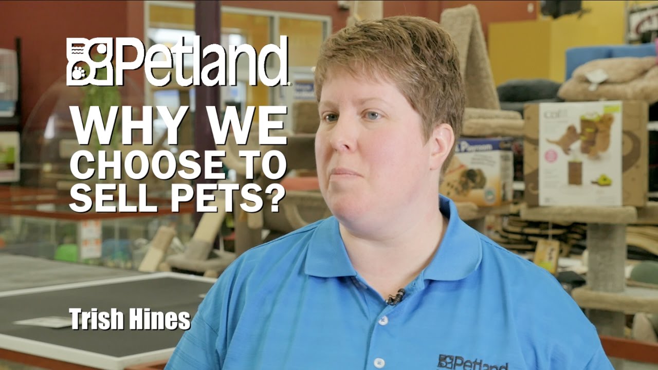 Trish Hines explains why Petland chooses to sell pets YouTube