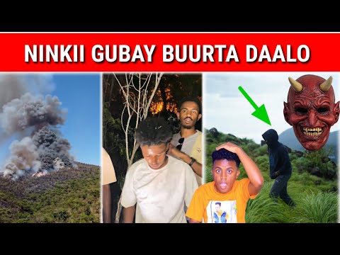 DEG DEG NINKII GUBAY BUURTA DAALO OO LA HELAY SAWIR KIISA SHAYAADIINTA OO ADEEGSADAY