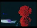 Boards of Canada - Kaini Industries