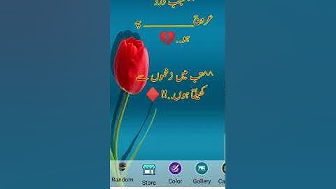 How to use photex app