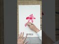 Detailed teaching on the painting process of the Hibiscus flower in traditional Chinese