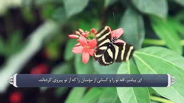آیات صحابه در قران - سوره انفال آیه 64
