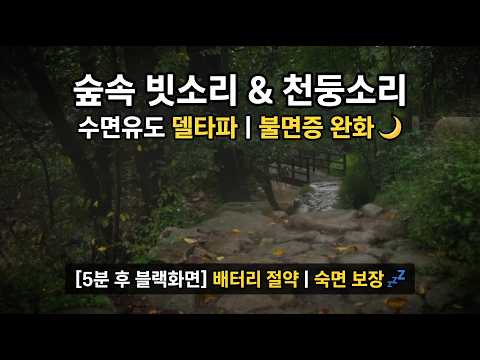 🌧️ 관악산 숲속 빗소리와 묵직한 천둥소리 (5분 후 검은 화면) | 10시간 수면유도 델타파 불면증 완화