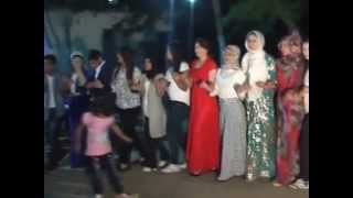 Rojda Müzik Le Daye Le Daye Resimi