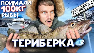 ТЕРИБЕРКА / РЫБАЛКА НА СЕВЕРЕ / ПОЙМАЛИ 100 КГ РЫБЫ / @ЛКОТУР