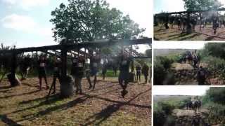 Wolf Run 2014 HD * Team Millie *