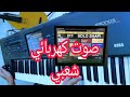 صوت رقم 211 كاكا شعبي للعزف الزوري للاورج الكرونوس    