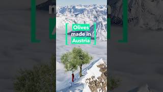 Olive oil from... AUSTRIA?!