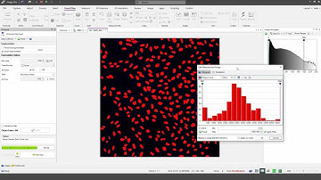 Image-Pro v11: Cell Biology Protocols - Cell Count
