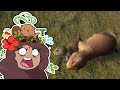 A PANIC Among Our Prairie Dogs!! 🦌 Planet Zoo: Blue Ridge Wildlife Park • #9