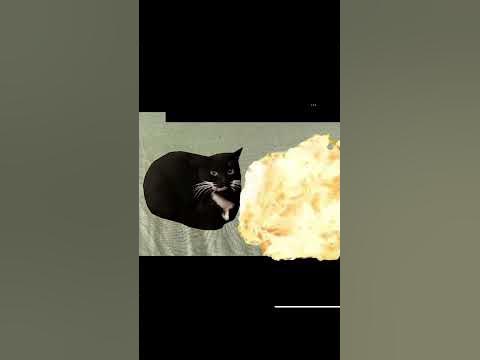 Максвелл кот animation - YouTube