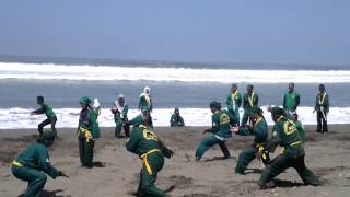 Peragaan asror Perguruan Silat Tenaga Dalam (PSKI)