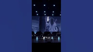 ليل ياليل 
