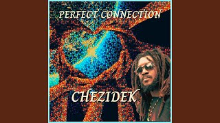 The Perfect Connection