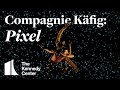 Compagnie kfig pixel  aug 30 sep 1