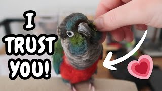How to Get Your Bird to Trust You - Parrot Bonding and Taming | BirdNerdSophie screenshot 5