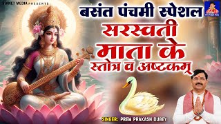 बसंत पंचमी स्पेशल : सरस्वती माता के स्तोत्र व अष्टकम्  | Saraswati Stotra | Saraswati Ashtakam 2024