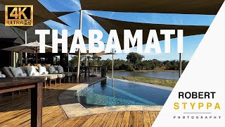 Thabamati Luxury Tented Camp in the Timbavati in South Africa