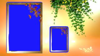 Blue Screen Wedding Background Animated Video