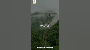 {نُّورٌ عَلَىٰ نُورٍ ۗ يَهْدِي اللَّهُ لِنُورِهِ مَن يَشَاءُ ۚ }     سورة النور  _35_