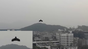 Control of A Tail-sitter VTOL UAV