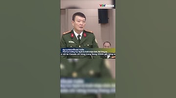 Người phẫu thuật thẩm mỹ khuôn mặt cần đổi căn cước và hộ chiếu | VTVIndex