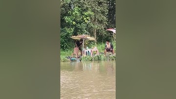 Vlogs 281 Báo cá - Hồ Câu Ngọc Tâm 0339955545 Phạm Văn Hai, Bình Chánh, Tp. HCM || Mần Nông Vlogs