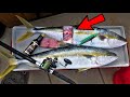 Beautiful Catch and Sashimi ON THE BOAT! *Raw Fish*  EPIC Yellowtail Action!!!!