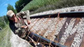 Turtle trapping ponds and swamps