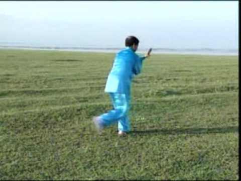 Tai Ji Quan Li Style (Created by Li Rui-Dong)