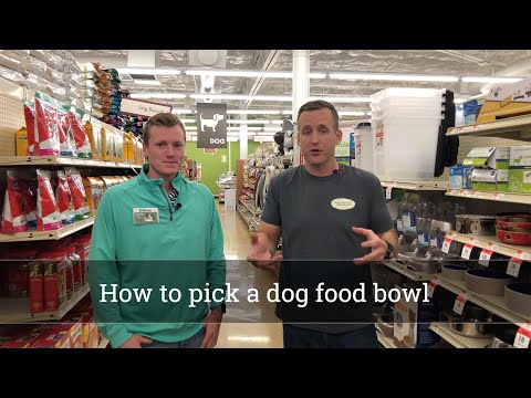 julius k9 harness bad for shoulders
