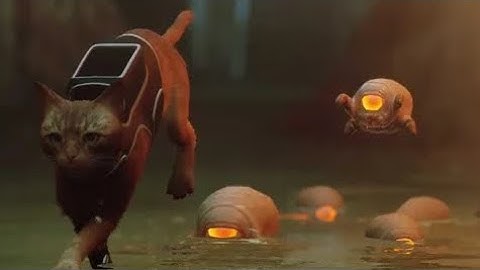 The adventure continues. Stray part 2