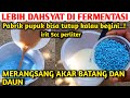 Ini rahasianya..!! Cara fermentasi pupuk kimia