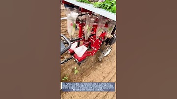 Self - Propelled Transplanter: Effortlessly Transplanting Vegetable Seedlings