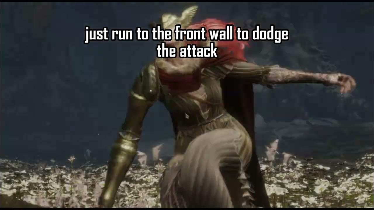 Malenia Blade of Miquella Guide How to get bandit curved sword and