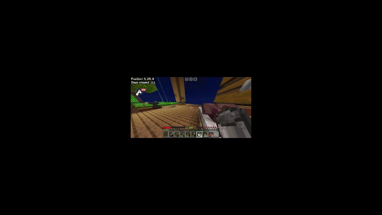 Minecraft 👍 Skyblock live stream - YouTube