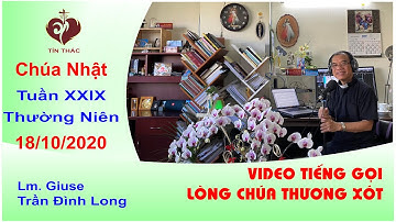 VIDEO Tiếng Gọi Lòng Chúa Thương Xót | Chúa Nhật - 18/10/2020 | Lm Giuse Trần Đình Long