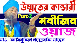 উম্মতের কান্ডারী নবীজির কান্না ভরা ওয়াজ | মাওলানা আমিনুদ্দিন নক্সেবন্দি সাহেব | Part -2 Aminuddin