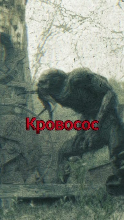 Кровосос... | EDIT #сталкер #edit #viral #stalker - YouTube