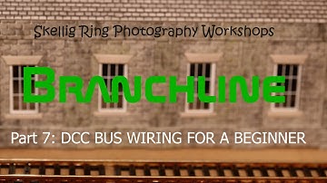 BRANCHLINE: A Beginner